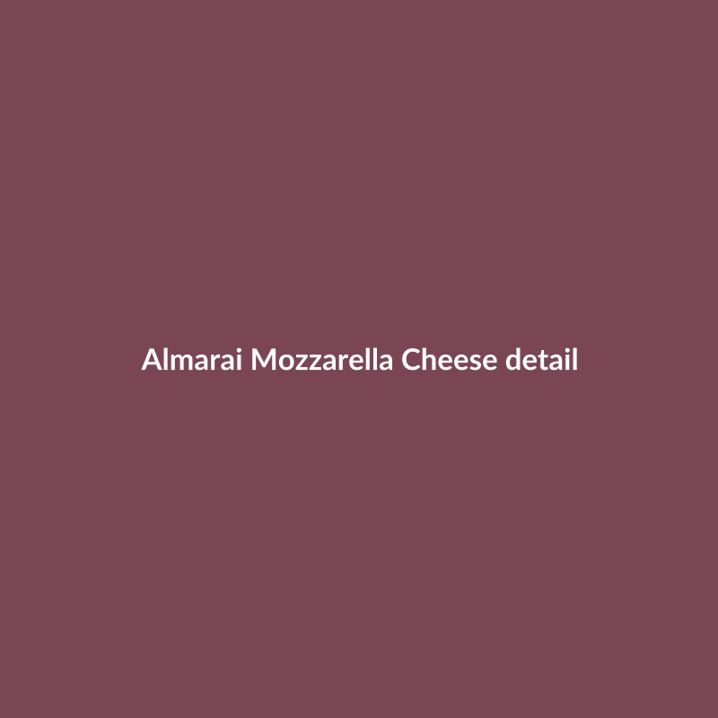 Mozzarella Cheese 500 g